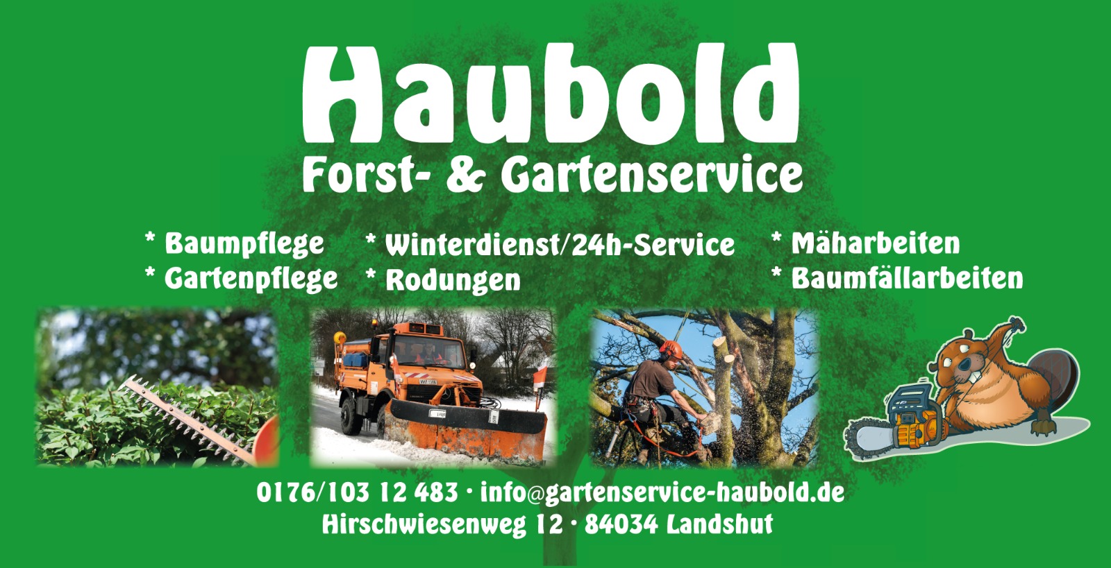 haubold